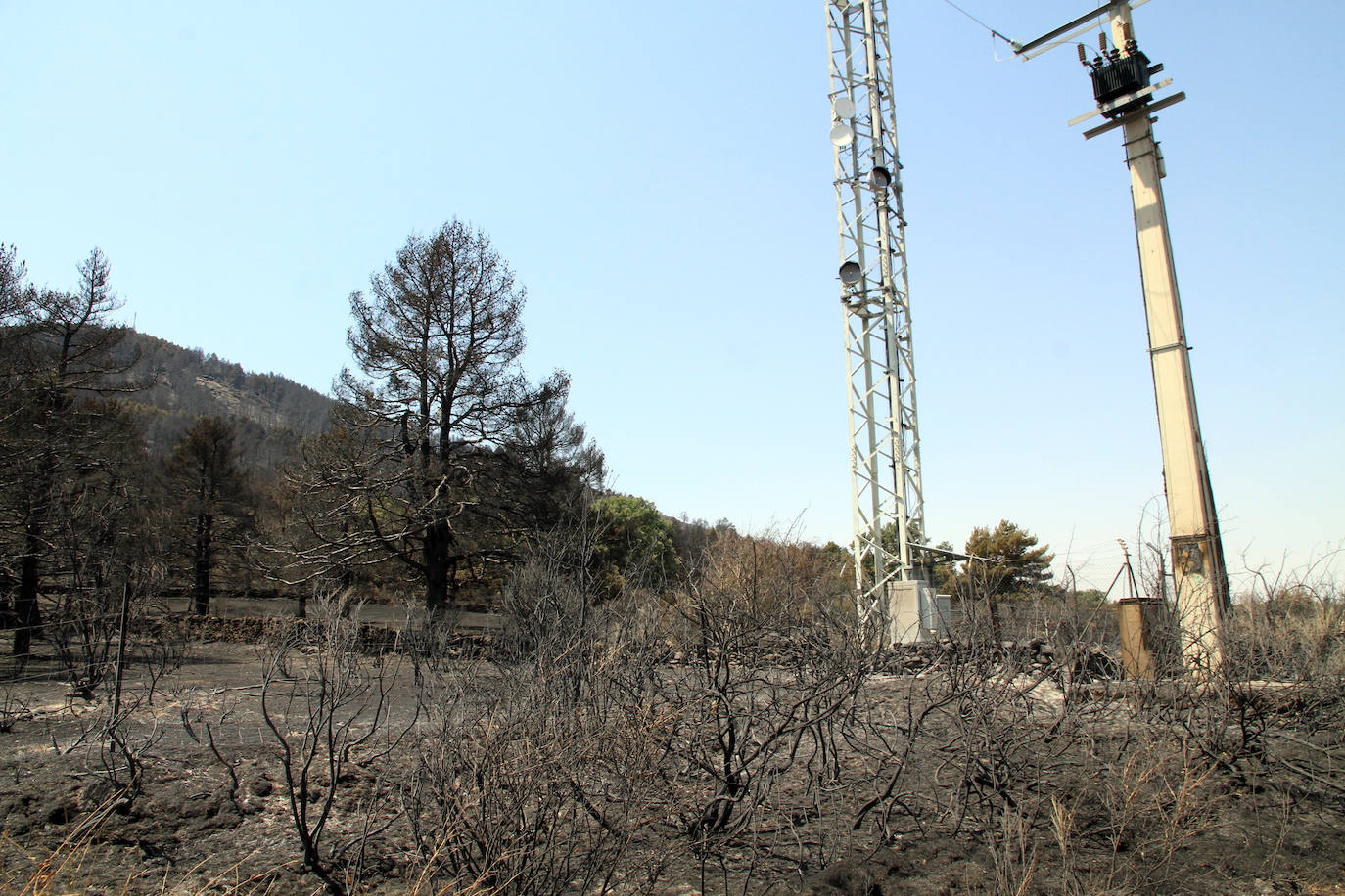 Terreno de pinar en el piedemonte de la sierra calcinado por el fuego declarado el pasado viernes en Navafría. 