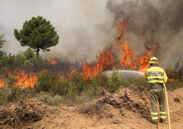 Fotos: El incendio de Losacio en imágenes