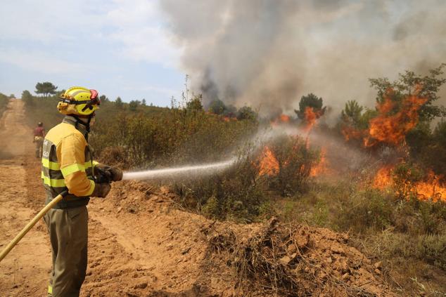 Fotos: El incendio de Losacio en imágenes