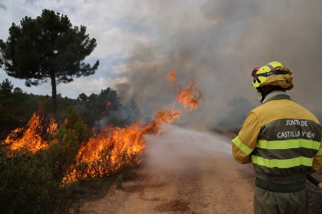 Fotos: El incendio de Losacio en imágenes