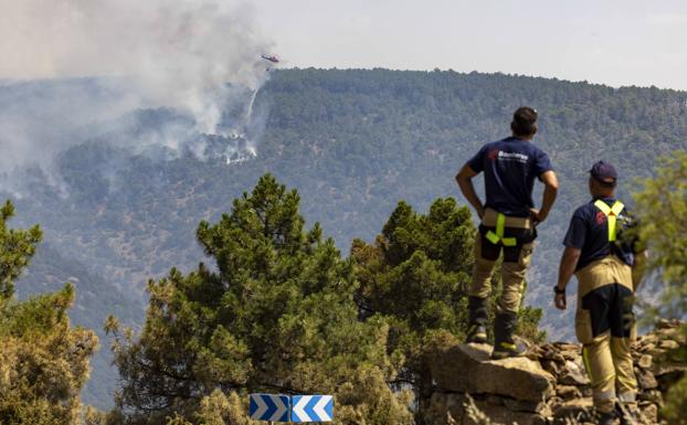 Negligencia e intencionalidad en los fuegos de Ávila y Zamora