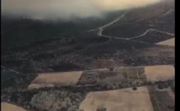 Vídeo: el incendio de Losacio visto desde el aire