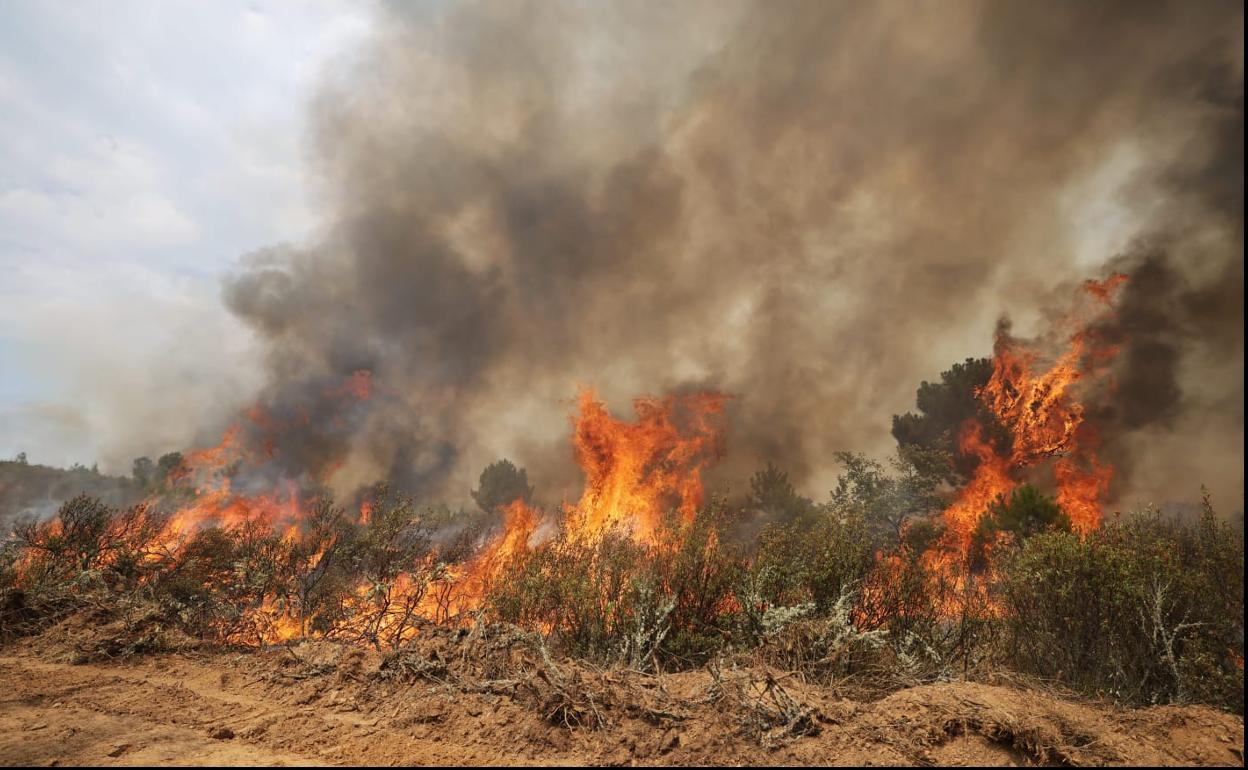 Fuego en Losacio. 