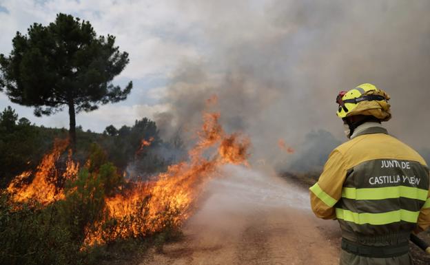 Un bombero forestal frente a las llamas del incendio de Losacio. 