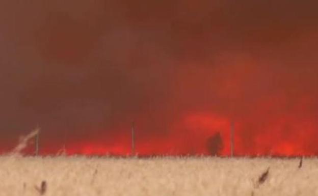 Restos del incendio en Tábara. 