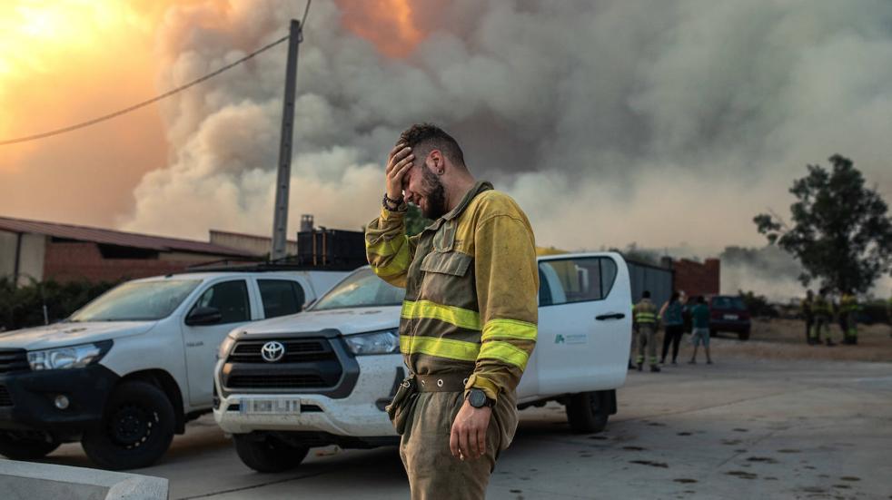 Las imágenes del voraz incendio de Losacio en Zamora