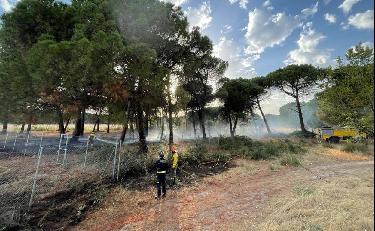 Incendio de maleza, este lunes en Laguna de Duero.