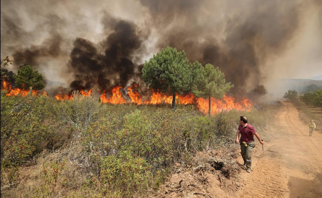 Incendio en Tabara (Zamora).