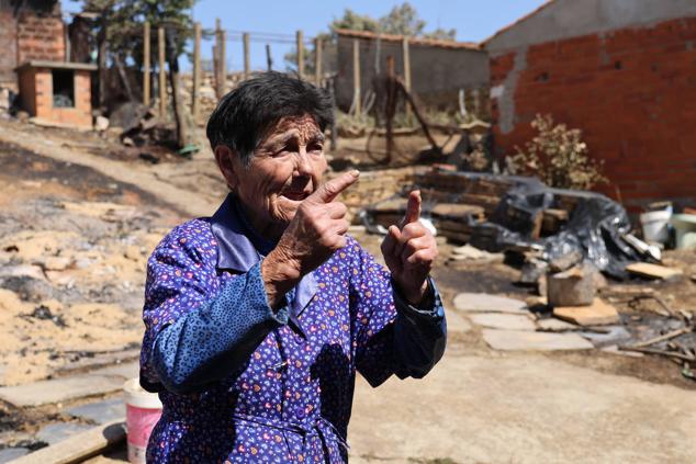 Fotos: Incendio de Losacio: Los ganaderos son obligados a trasladar su ganado