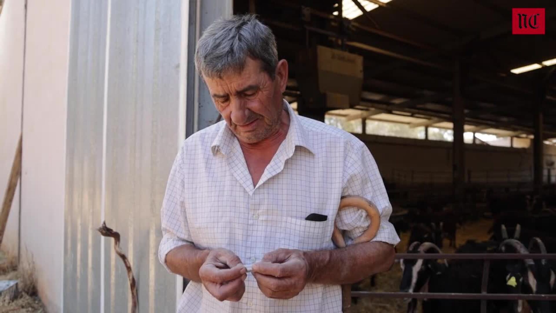 «El pastor, el cabrero y el vaquero son los jardineros del campo», explica un ganadero afectado por el incendio de Zamora