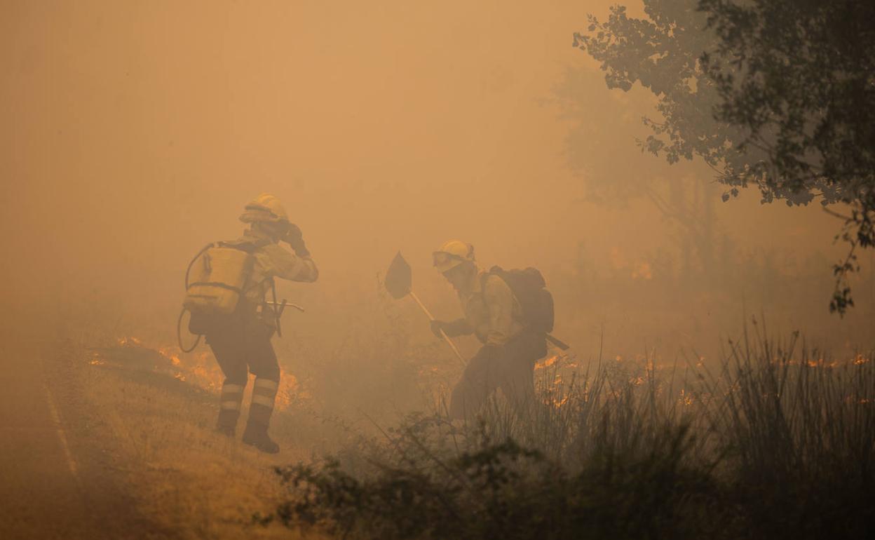 Dos brigadistas del operativo forestal de Castilla y León, la tarde del martes, en el incendio de Losacio.