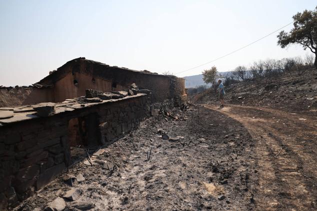 Fotos: Desolación e incredulidad de los vecinos de San Martín de Tábara al ver el paisaje