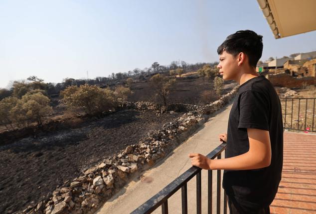 Fotos: Desolación e incredulidad de los vecinos de San Martín de Tábara al ver el paisaje