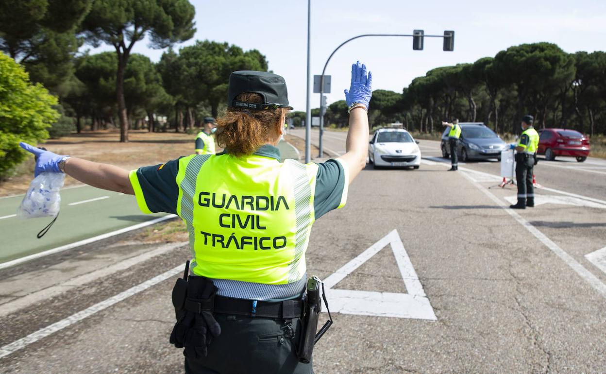 Control de alcoholemia de la Guardia Civil en el pinar de Antequera. 