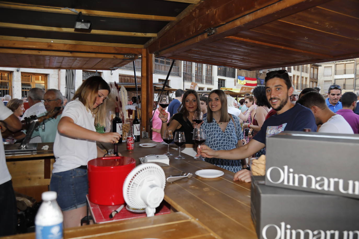 Fotos: Celebración de los 40 años de Ribera del Duero en Peñafiel