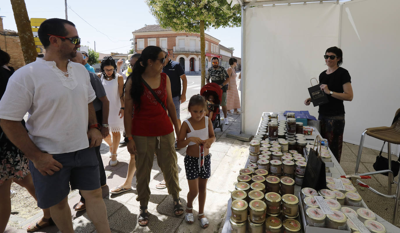 Fotos: Feria del Queso en Frómista
