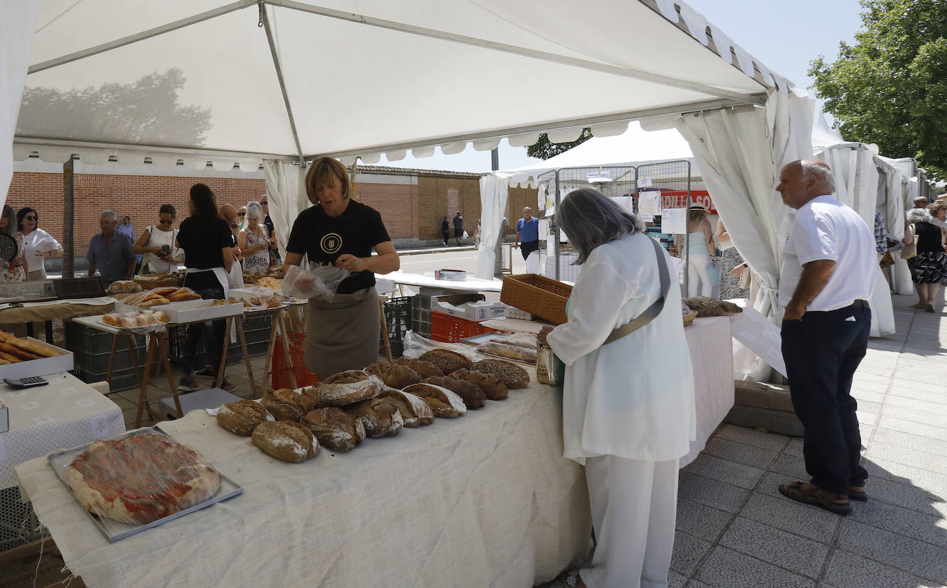 Fotos: Feria del Queso en Frómista