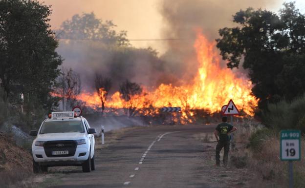 El fuego cortó una carretera cerca de Losacio.