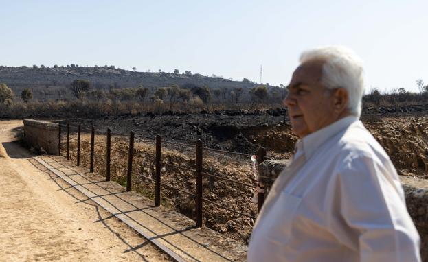 Viaje a la 'zona cero' del fuego en Losacio