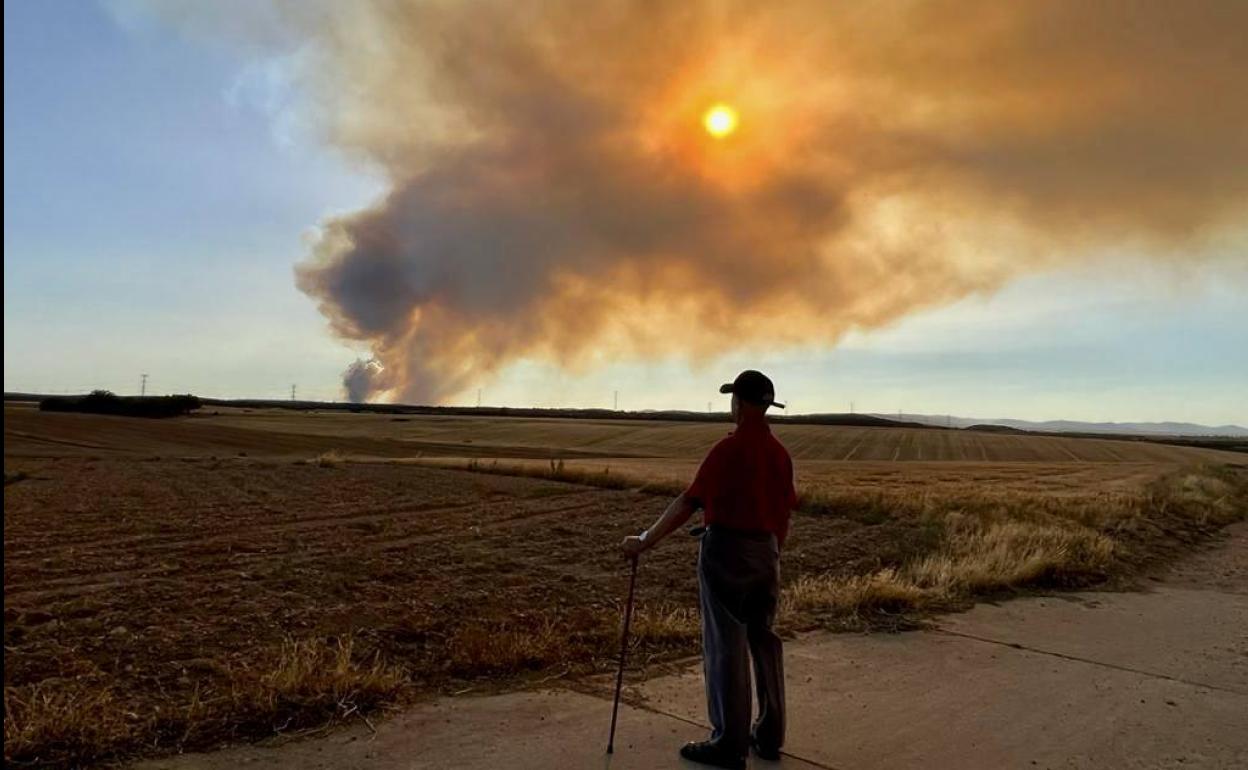 Columna de humo en el incendio declarado en Vegalatrave, lindando con Losacio.