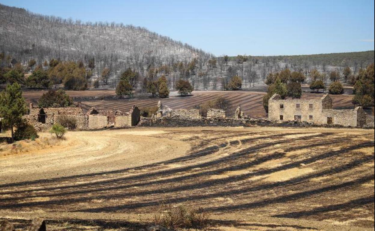 Entorno de la localidad burgalesa de Santibáñez del Val, este lunes. 