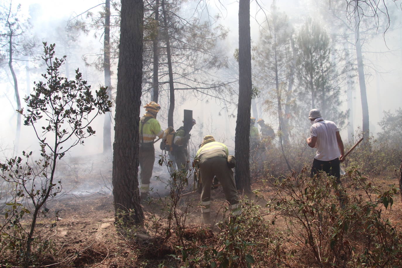 Imagen del incendio declarado en Cuéllar.