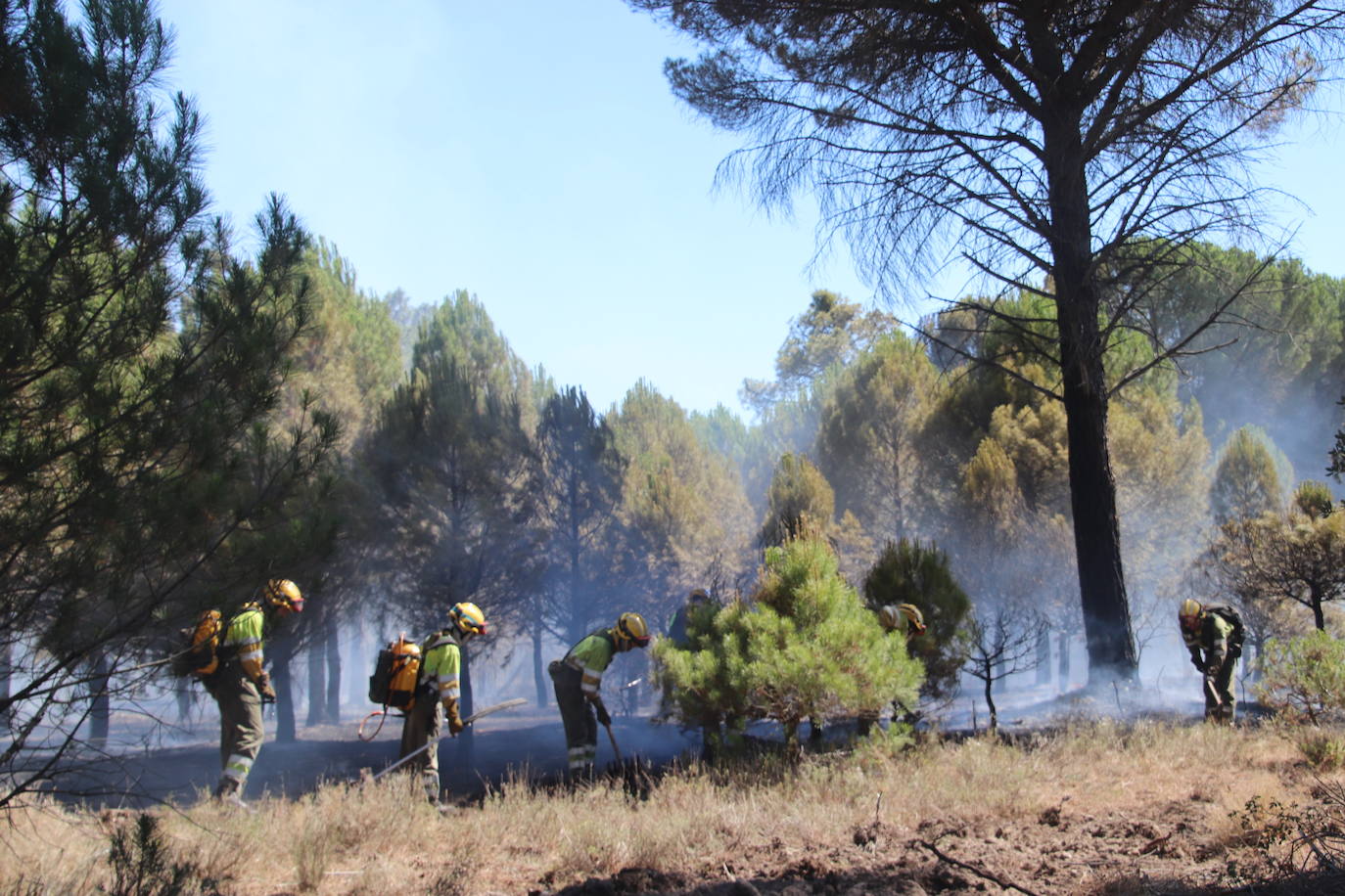 Imagen del incendio declarado en Cuéllar.