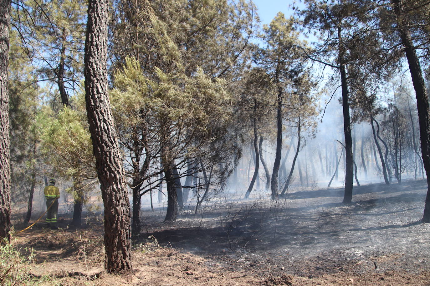 Imagen del incendio declarado en Cuéllar.