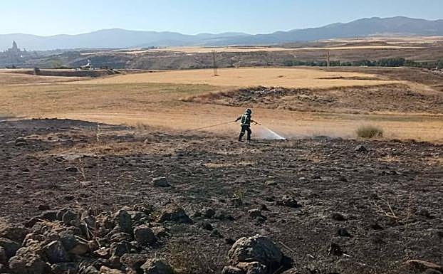 La electrocución de un buitre desencadena un incendio en el Peñigoso