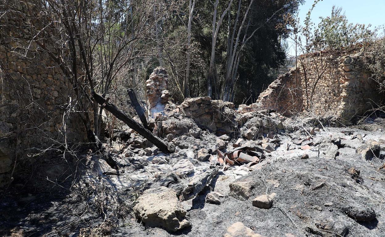 Imagen del incendio en Quintanilla del Coco. 