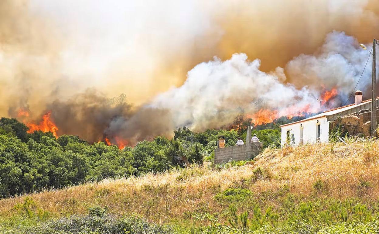 Cómo adaptarnos a la nueva realidad de incendios