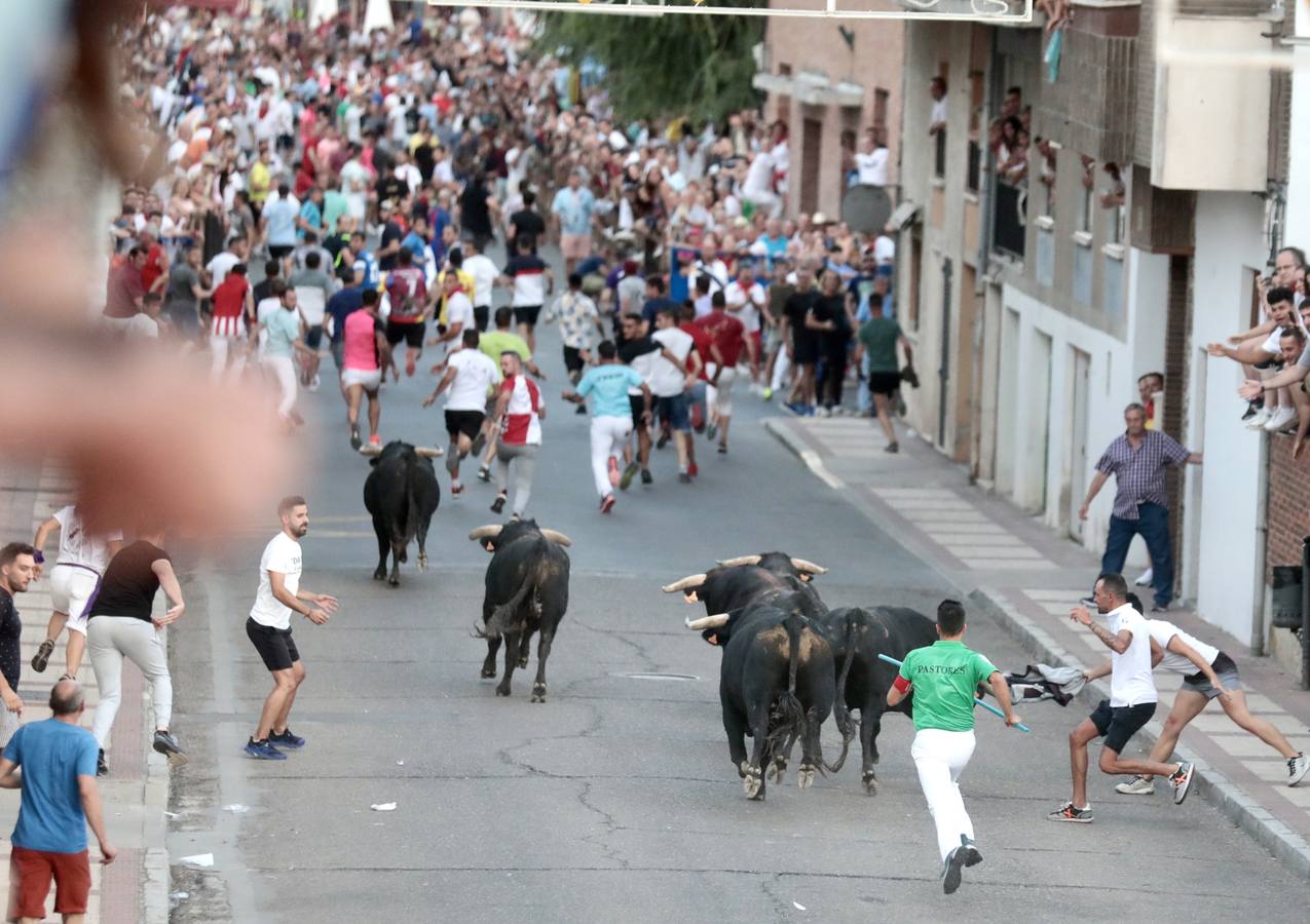Fotos: Primer encierro de las fiestas de Íscar