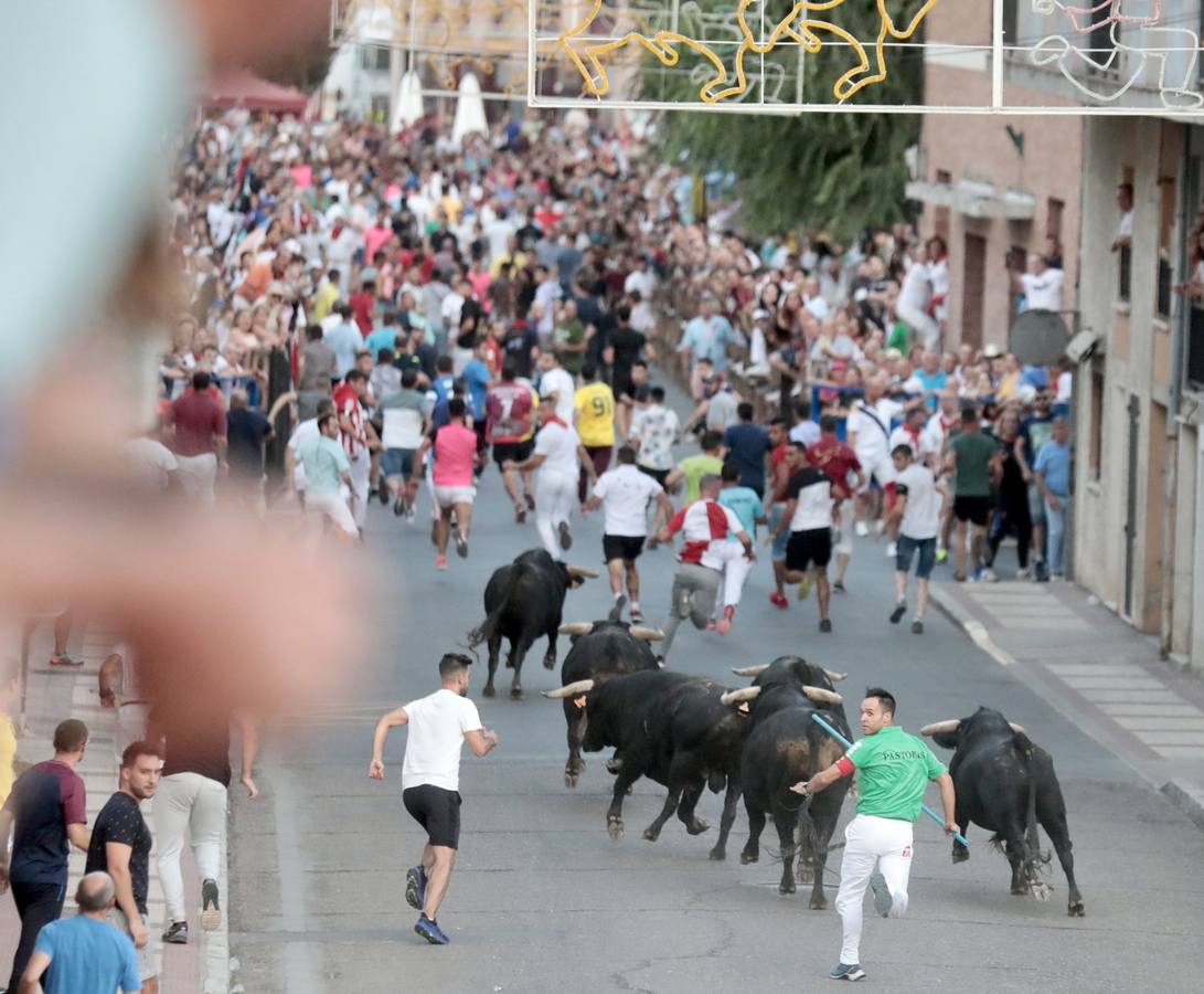 Fotos: Primer encierro de las fiestas de Íscar