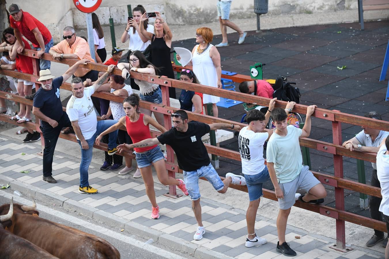 Fotos: Vuelven los festejos taurinos a La Seca en sus tradicionales fiestas de novillos