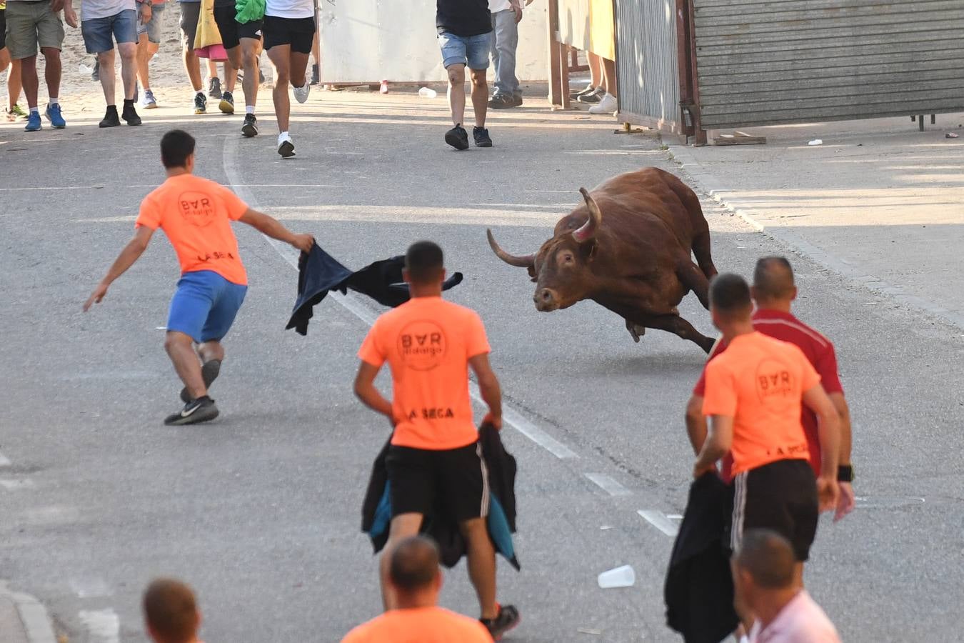 Fotos: Vuelven los festejos taurinos a La Seca en sus tradicionales fiestas de novillos