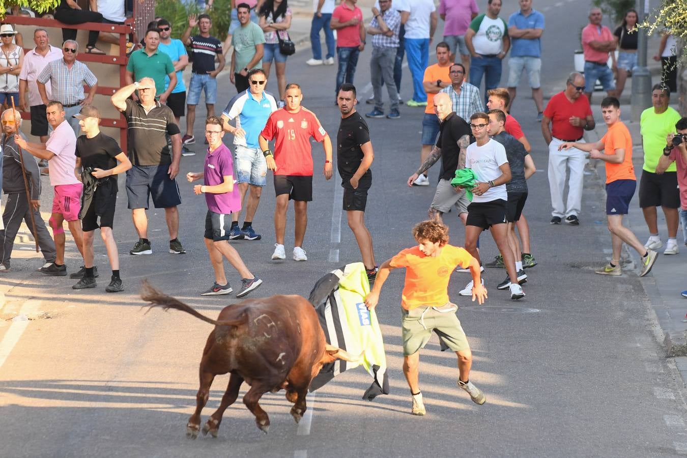 Fotos: Vuelven los festejos taurinos a La Seca en sus tradicionales fiestas de novillos