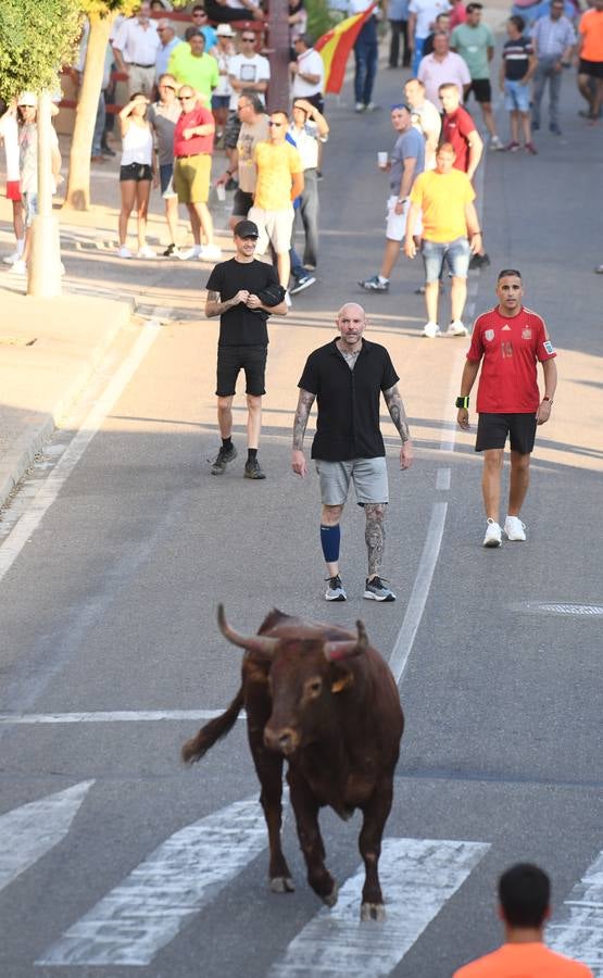 Fotos: Vuelven los festejos taurinos a La Seca en sus tradicionales fiestas de novillos