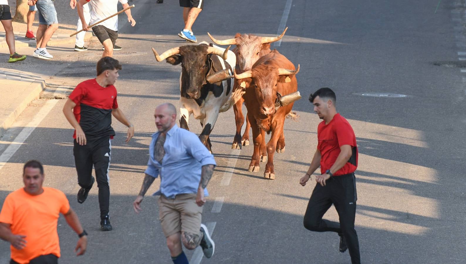 Fotos: Segundo encierro diurno de las fiestas de La Seca