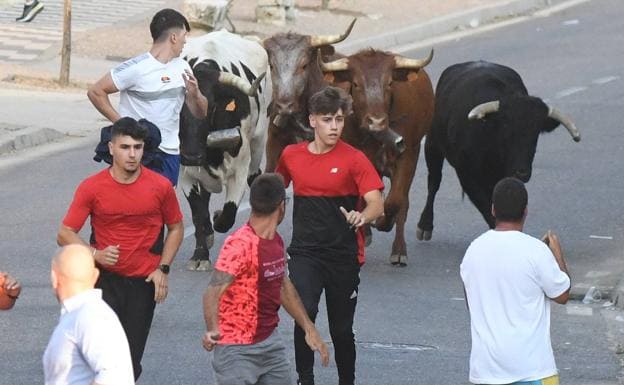 Estable el joven veinteañero que fue corneado en el primer encierro nocturno de La Seca