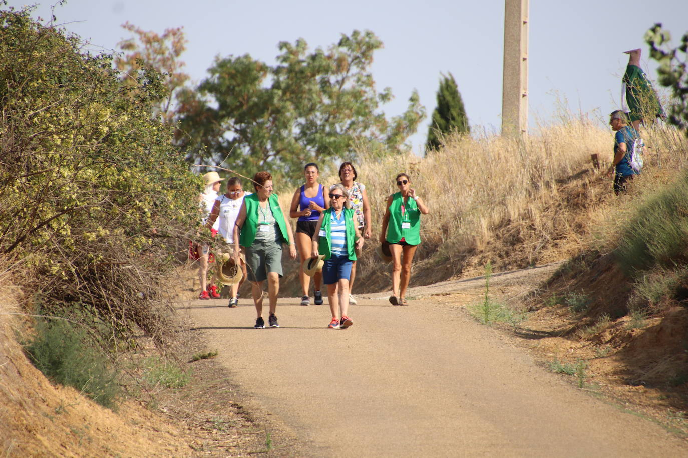 Marcha contra el cáncer celebrada este domingo en Tierra de Campos.