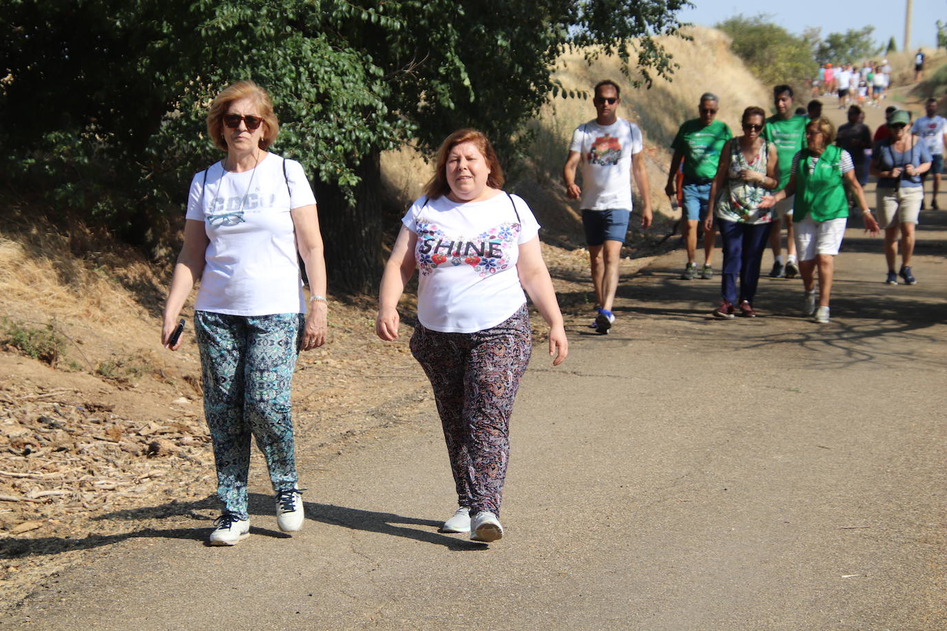 Marcha contra el cáncer celebrada este domingo en Tierra de Campos.