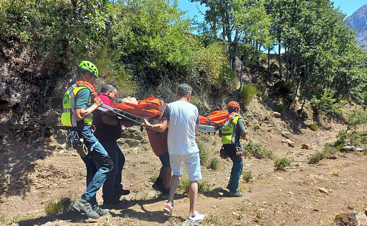 El GREIM de Sabero lo localizó caído en un camino forestal. 