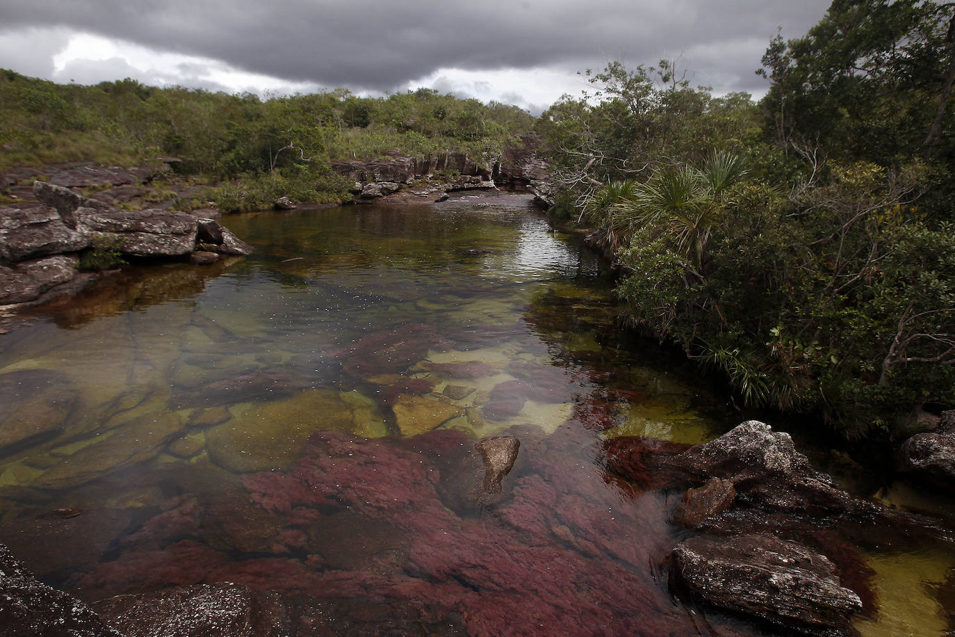 CAÑO CRISTALES (COLOMBIA) | Este río está ubicado en la sierra de la Macarena y cuenta con llamativas tonalidades. También conocido como el 'Río de los Cinco Colores' ya que a través de sus aguas cristalinas se pueden apreciar tonos amarillos, azules, verdes, rojos y negros. Este 'milagro de la naturaleza' se debe a la Macarenia clavigera, una planta acuática endémica que al contacto con los rayos del sol ‘pinta’ de hermosos colores este río.