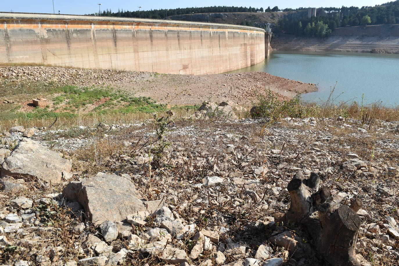 Fotos: La sequía muestra signos alarmantes en el pantano de Aguilar