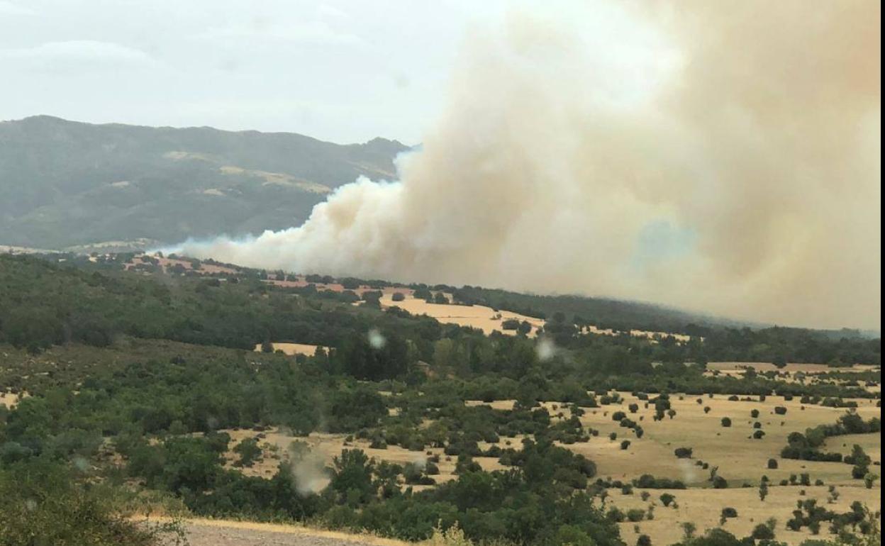 Incendio en Becerril declarado en la tarde de este sábado.