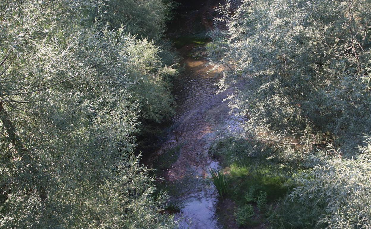 Caudal actual del río Cega.