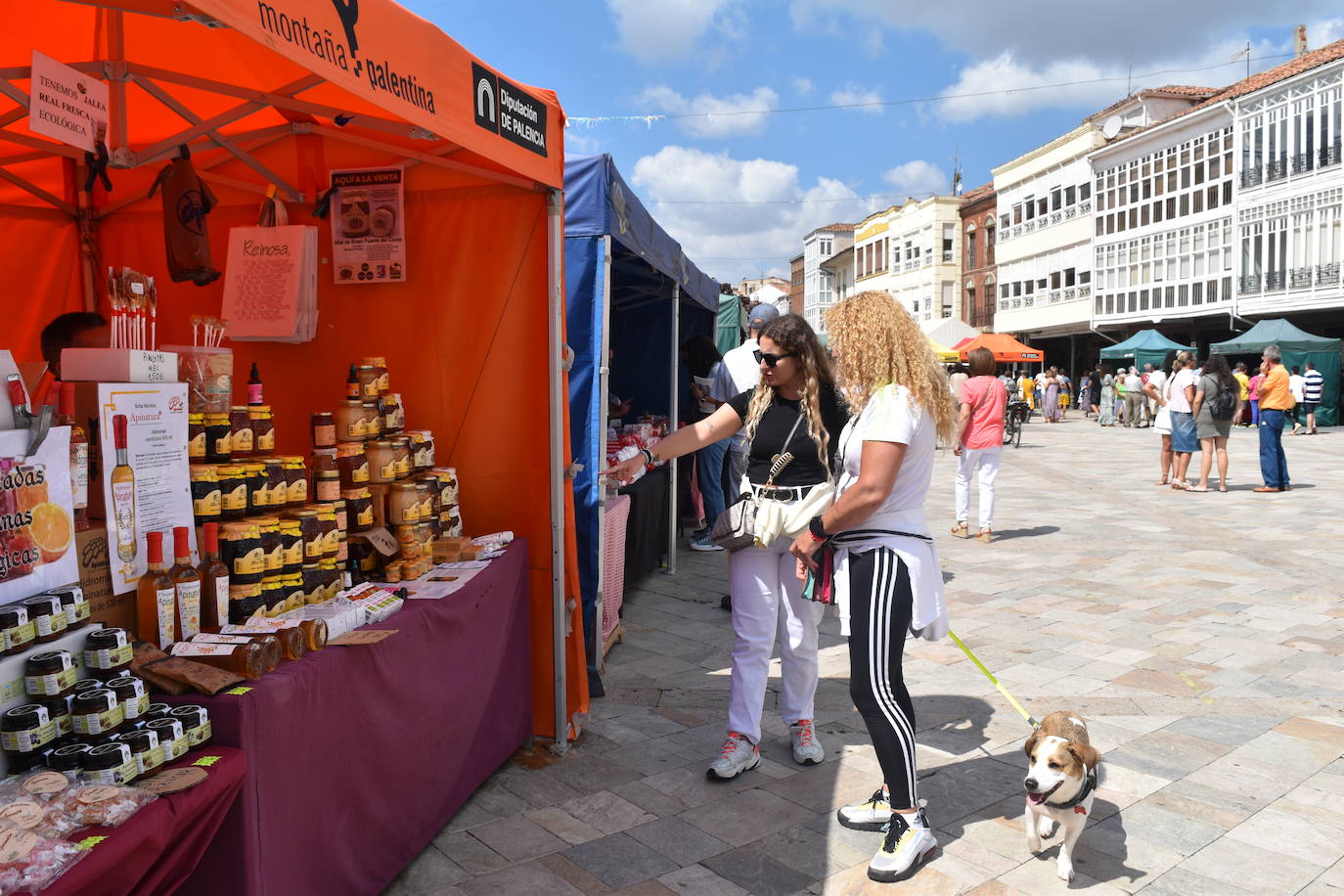 Fotos: Dulces aromas y sabores en Aguilar de Campoo