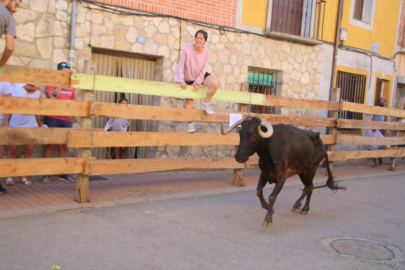 Fotos: Los primeros encierros en Palencia después de un parón de dos años
