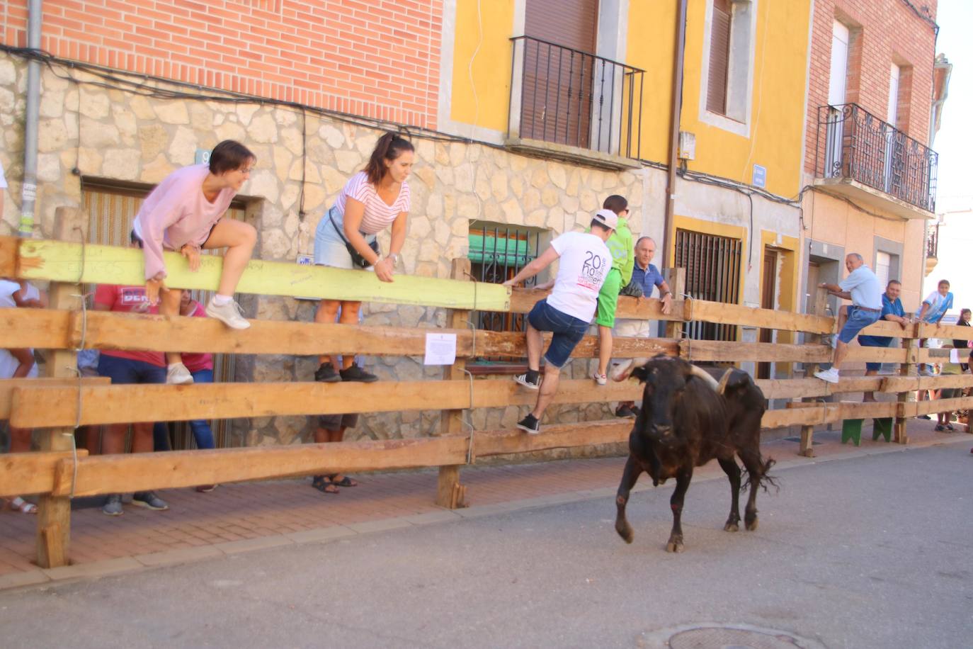 Fotos: Los primeros encierros en Palencia después de un parón de dos años