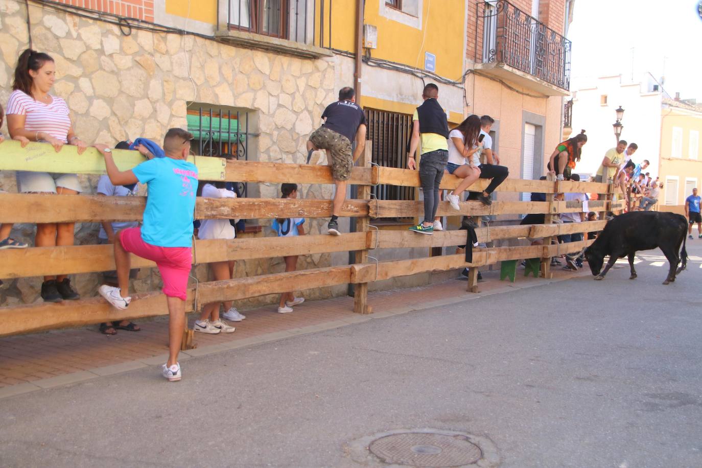Fotos: Los primeros encierros en Palencia después de un parón de dos años